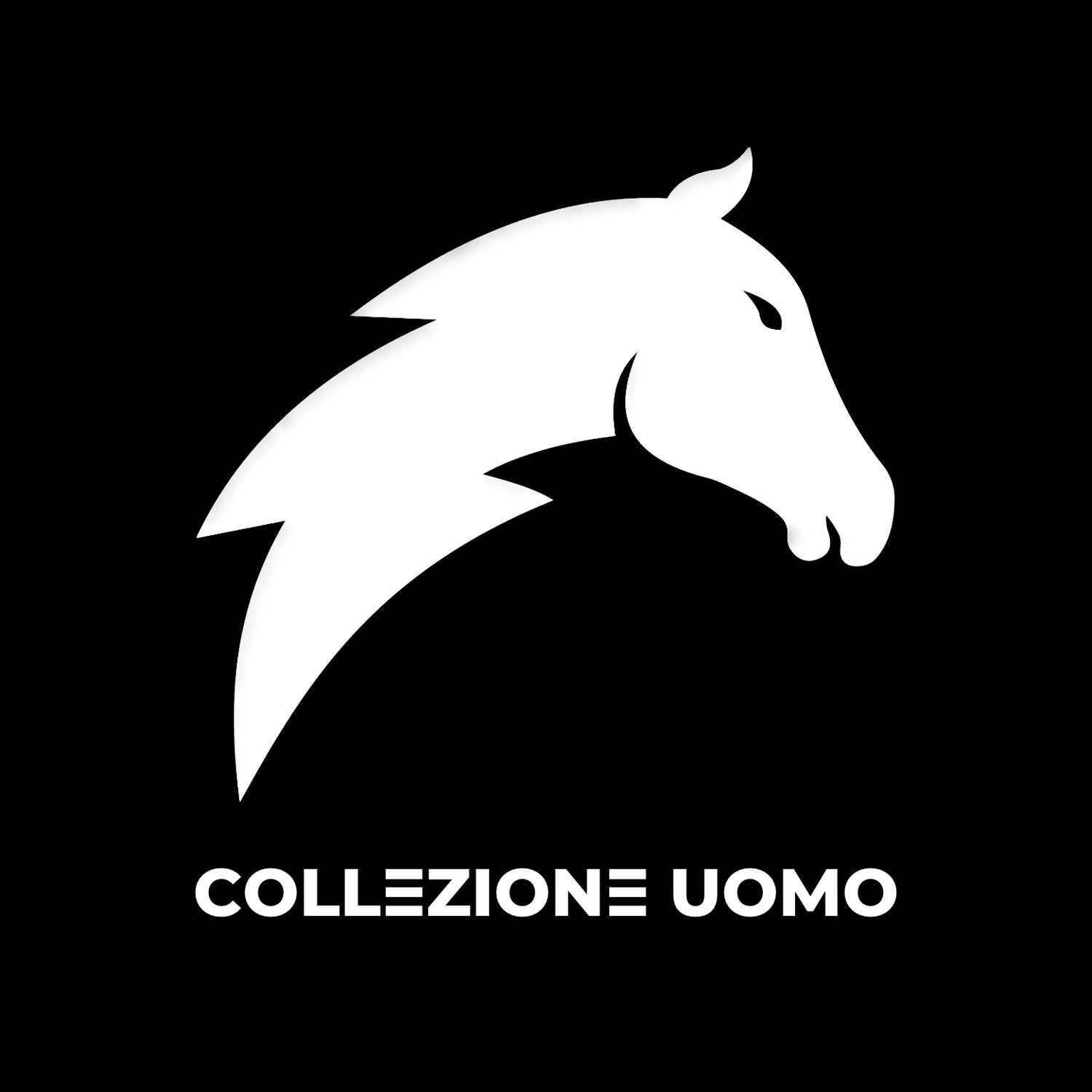 FORSTUDS - COLLEZIONE UOMO